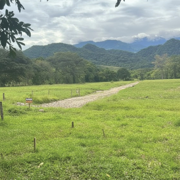 5 Common Mistakes Homebuyers Make – and How to Avoid Them